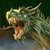Tripe_Finder