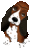 Tim
