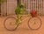 GreenBikeGuy