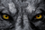 LW18 LADYWOLF