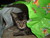 7catsrule