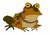 all-hail-hypnotoad