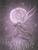 TwilightSunstar