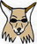Coyoty