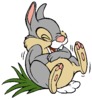 DDDGlobe36