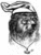 OldGreyBear