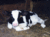 oldfarmhand