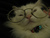 nearsighted