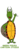 Drew Aquilina