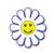 Sunny