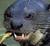 Mr. Otter