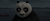 Anush P