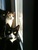 Lisa Frisone