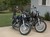 Buckly34