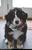 Fido3