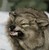R2 Wolf