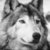 The Wolf In Your Midst