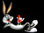 kelly_duncan