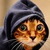 Junkyard Cat