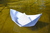 differentboat
