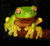 Superfrog