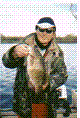 Blogph_138430433_cmp3374blg8862