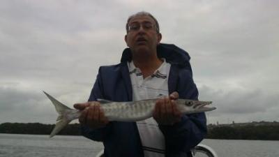 Blogph_1402562097_cmp21545blg19826