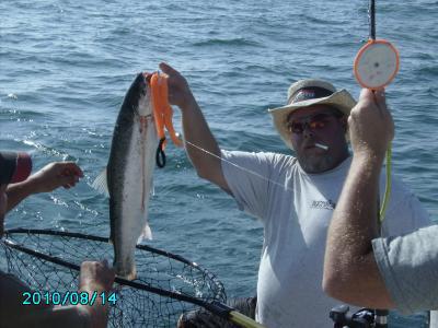 Blogph_1435113187_cmp23035blg21814