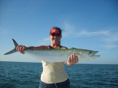 Blogph_1441765748_cmp2387blg10008