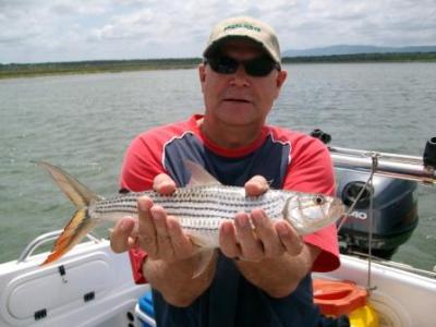 Blogph_159067075_cmp21545blg15968
