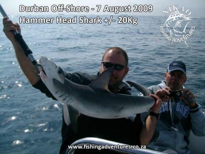 Blogph_1771789223_cmp21545blg14711