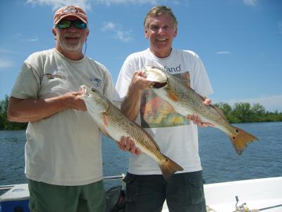 Blogph_1993250665_cmp2387blg15637