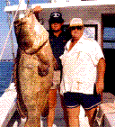 Blogph_1993733349_cmp927blg2390