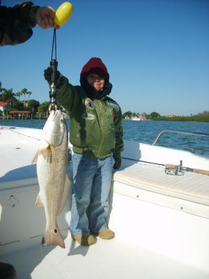 Blogph_2005949434_cmp2387blg10121