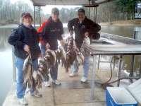 Blogph_243162647_cmp46blg7784