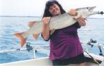 Blogph_390395764_cmp3378blg8983