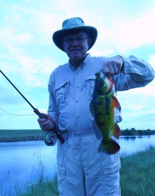 Blogph_400614944_cmp663blg19145