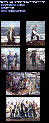 Blogph_577534446_cmp1537blg7686