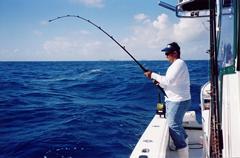 Blogph_677646245_cmp964blg5350