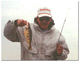 Blogph_760008913_cmp380blg3361