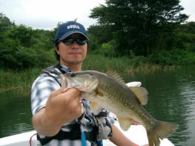 Blogph_762724211_cmp21545blg17289