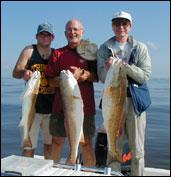 Blogph_959083574_cmp575blg5746