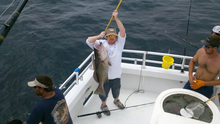 Grouper