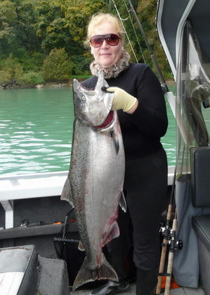 Harrisonkingsalmon
