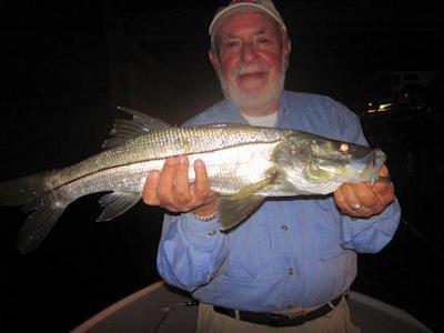 Martinmarlowveniceflynightsnook