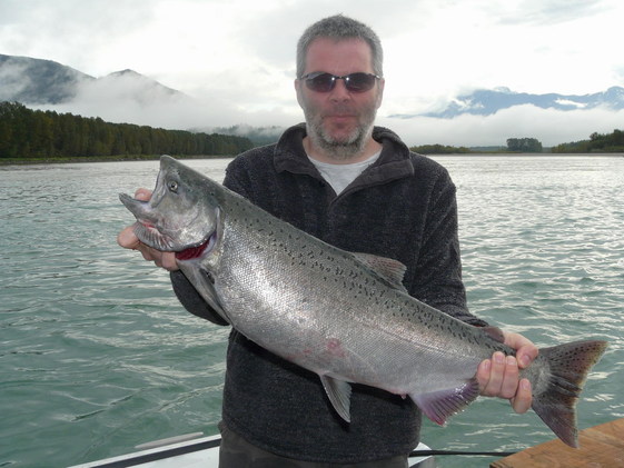 Vedderkingsalmon