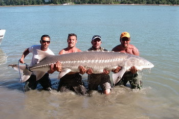 Wintersturgeon