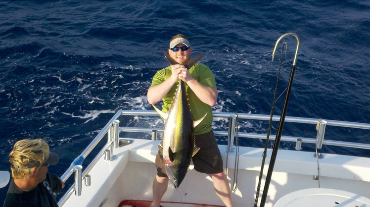 Yellow%20fin%20tuna