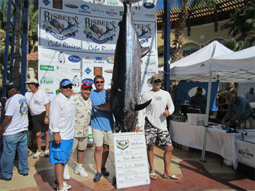 Bisbee_black_and_blue_2011