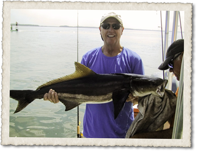 Cobia-ling